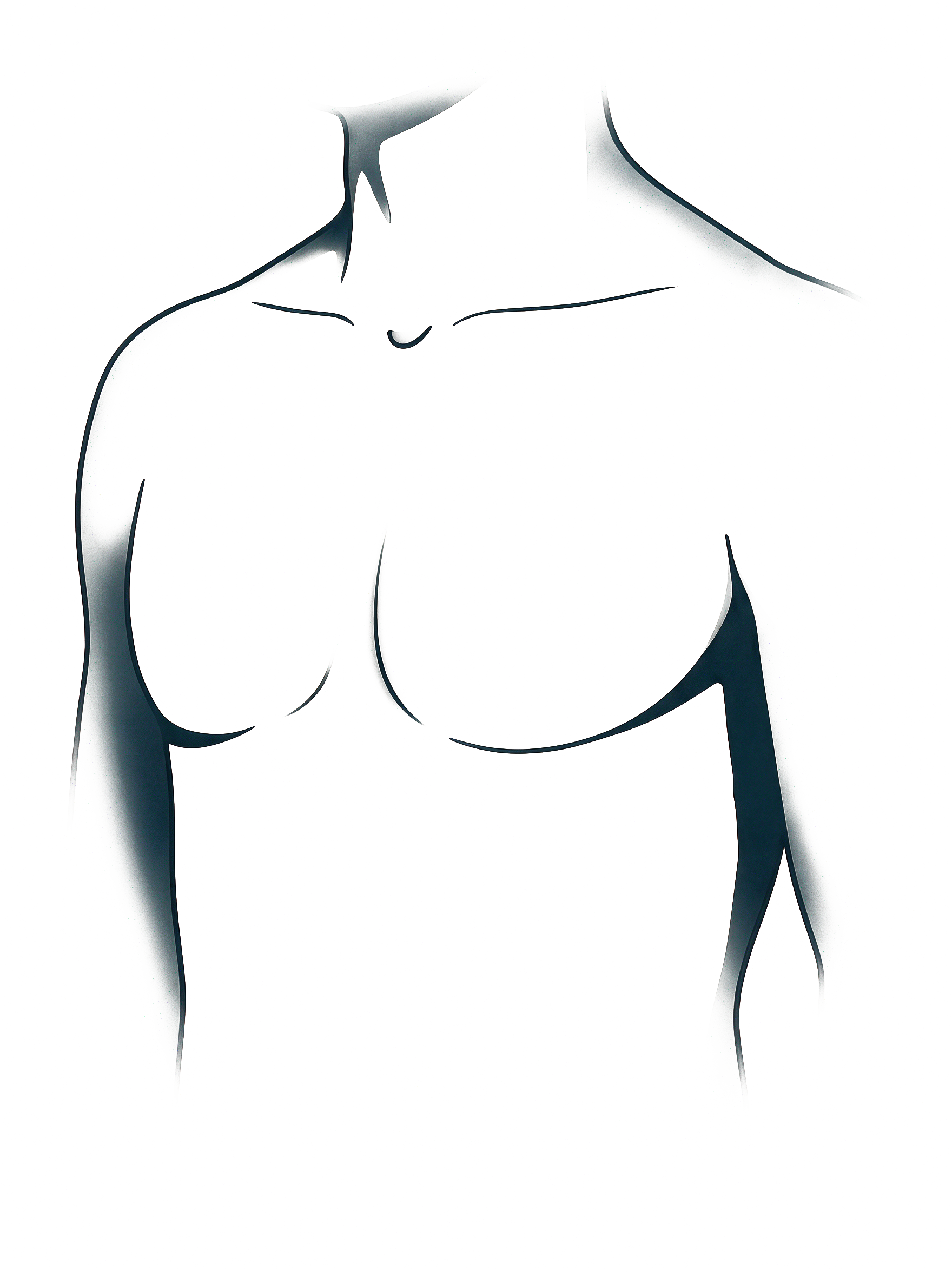 Illustration of a chest, front view